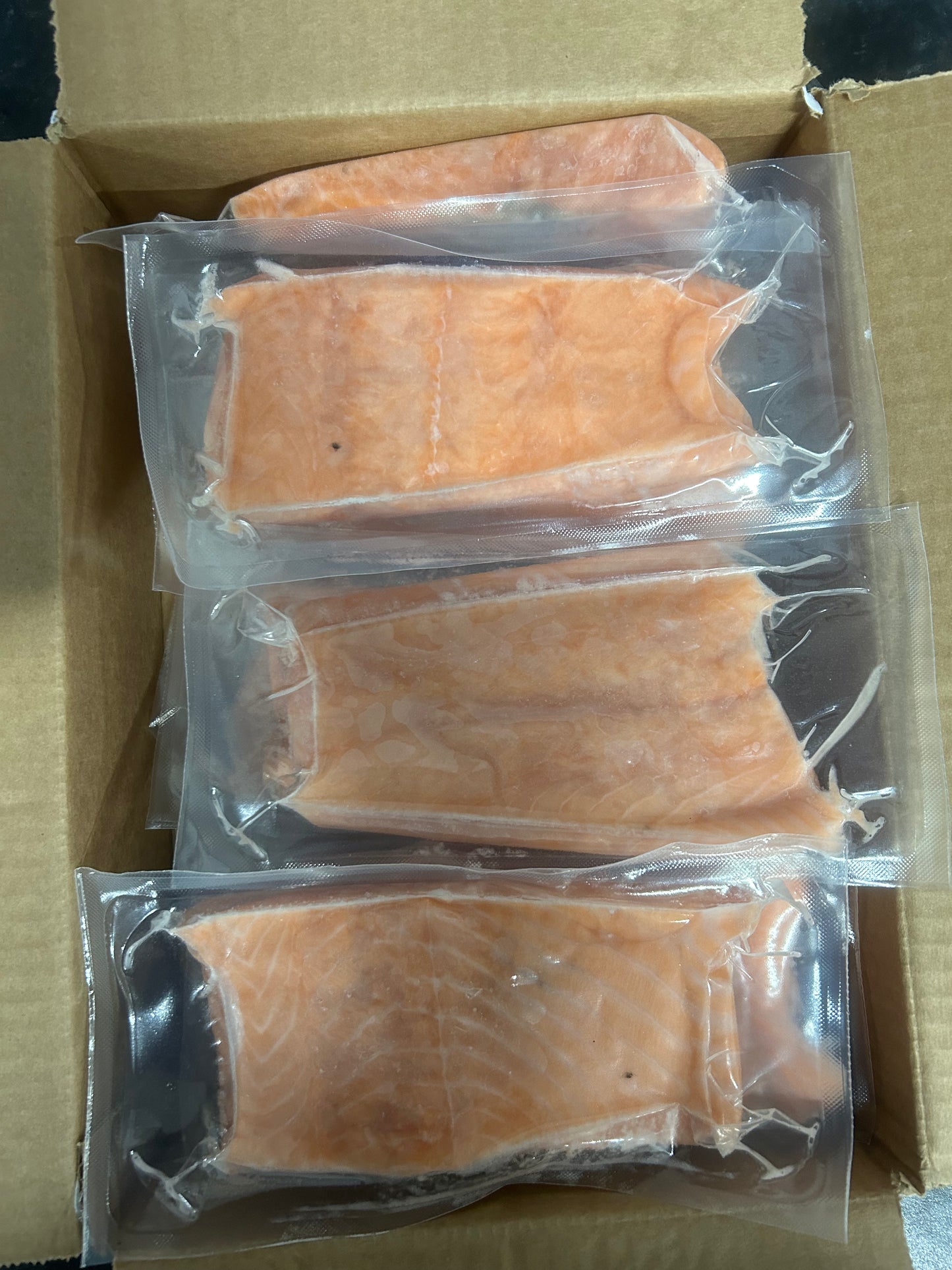 Salmon Fillets x10